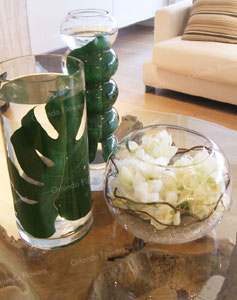   Submerged Leaves with Orchids - Sofitel