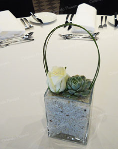  Rose and Succulent Vase - Sofitel