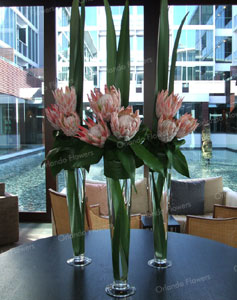 King Protea and Flax  Installation  - Sofitel