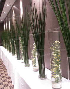 Reeds and Submerged Daisies - The Private Room - Sofitel 