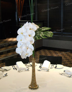  Phalenopsis Orchid Vase - The Private Room - Sofitel