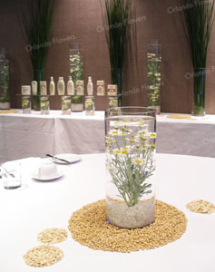  Aveeno Skin Care Launch - The Private Room - Sofitel