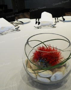 Pohutukawa Vase - Private Room - Sofitel