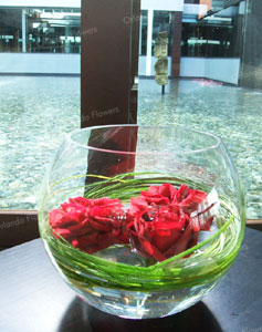  Floating Red Roses - Sofitel