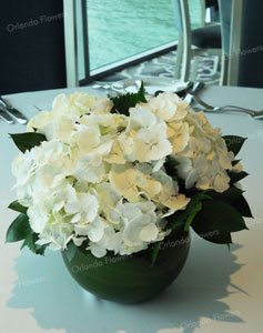 Hydrangea Vase - Grand View - The Wharf